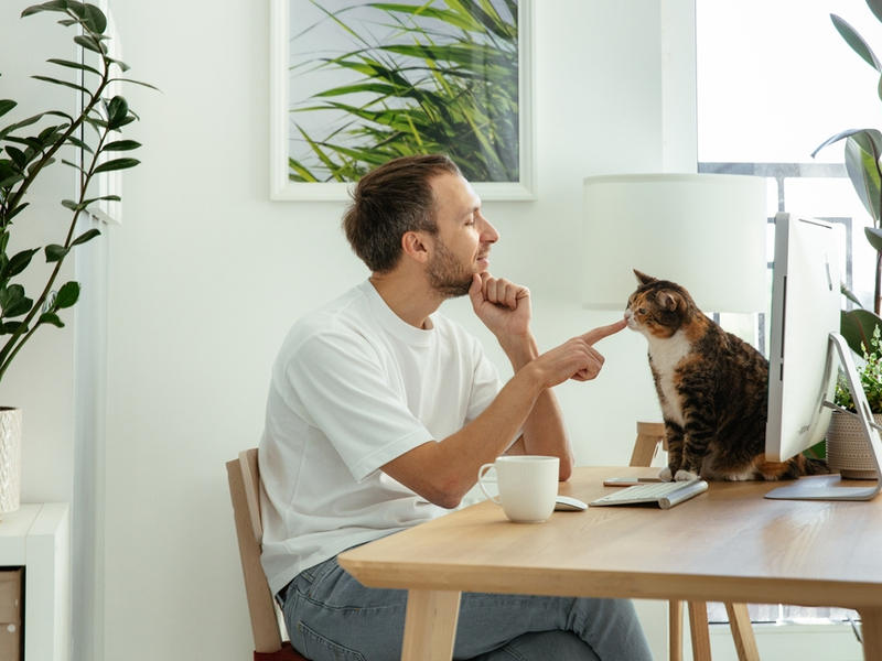 muškarac mazi mačku